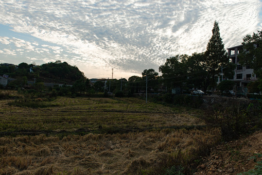 团凤县林家大湾风景