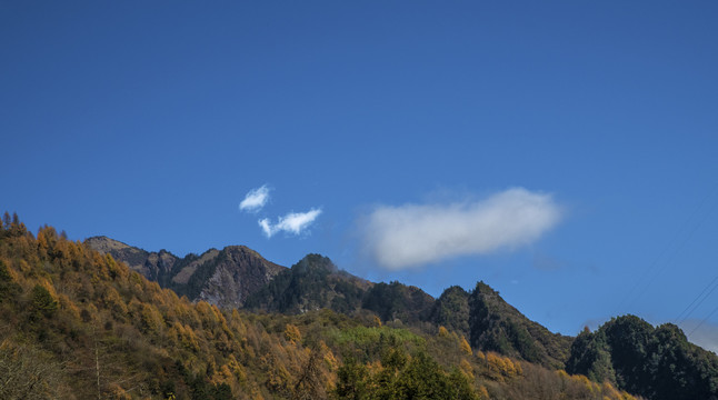 彩林风景