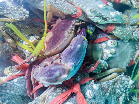 海产海鲜海蟹