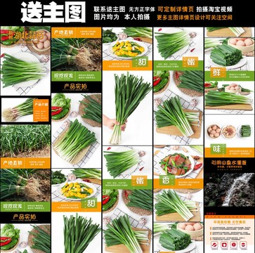 大蒜苗詳情