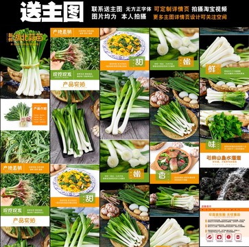 青蒜苗詳情頁