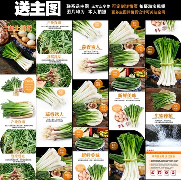 紅皮蒜苗詳情