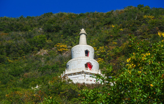 辽阳龙峰寺释迦牟尼舍利塔