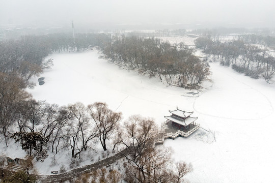 雪景龙沙公园