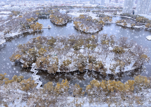 龙沙公园雪景