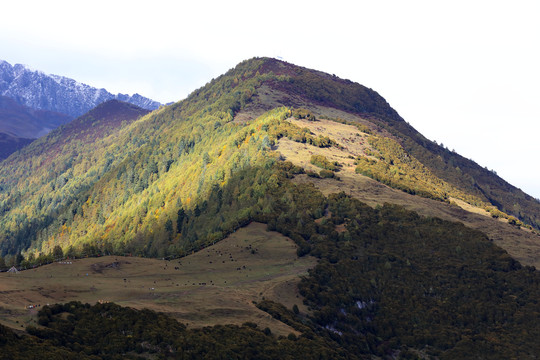 山梁山脊