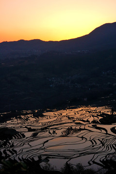 元阳梯田风光