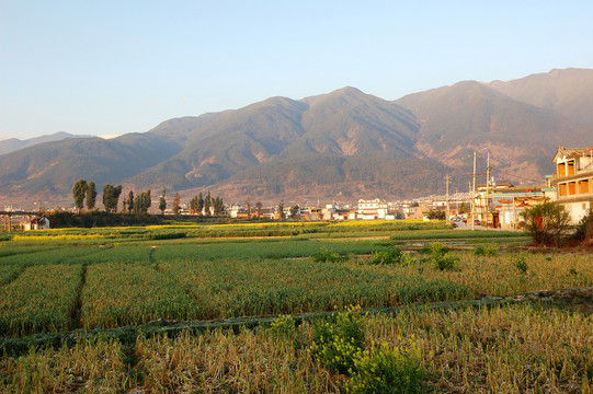 洱海田园风光