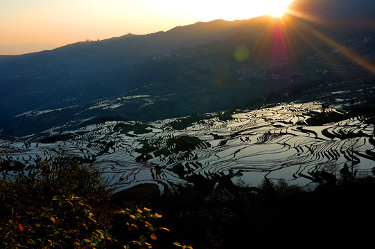 梯田风光