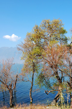 苍山洱海