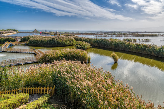 博斯腾湖大河口景区