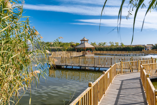 博斯腾湖大河口景区