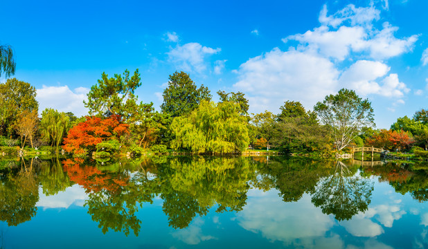 树林秋景