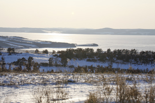 冬天风景雪景野外树林村庄