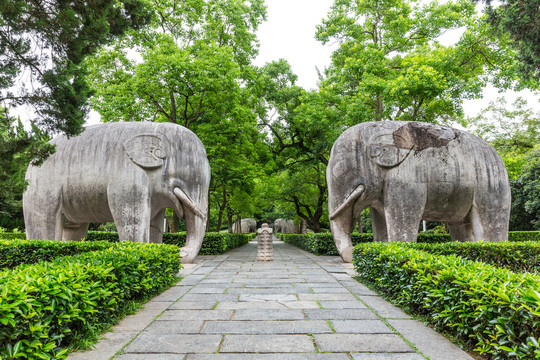 南京明孝陵石象路