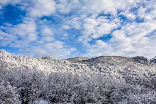 高山雪景