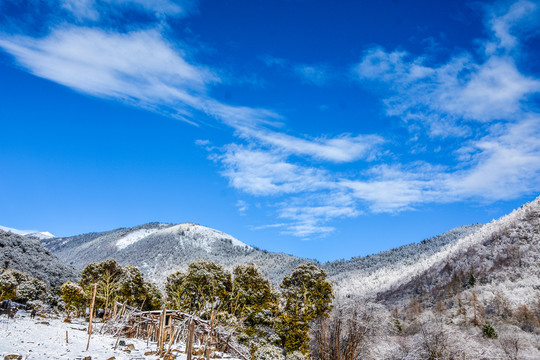 高山雪景