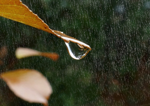 雨滴雨丝