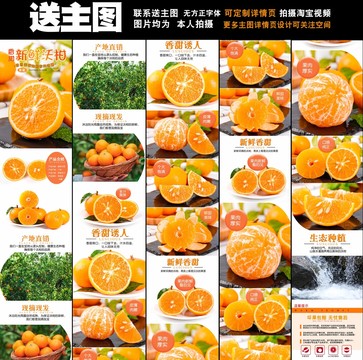 沃柑詳情