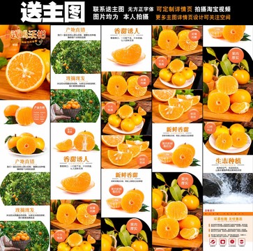 沃柑詳情頁(yè)設(shè)計(jì)