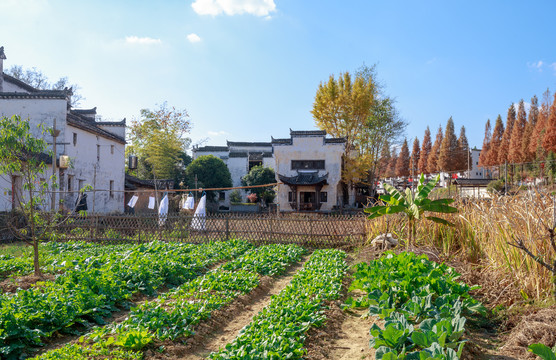 婺源思溪延村