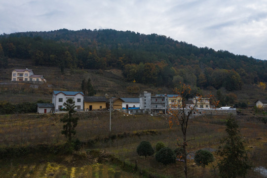 大山秋色