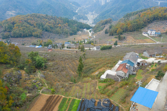 榔坪木瓜基地航拍