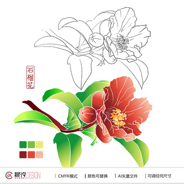 石榴花手繪矢量圖