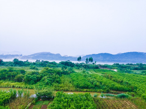 农村风景