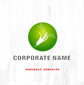 金銀花標志中藥材logo