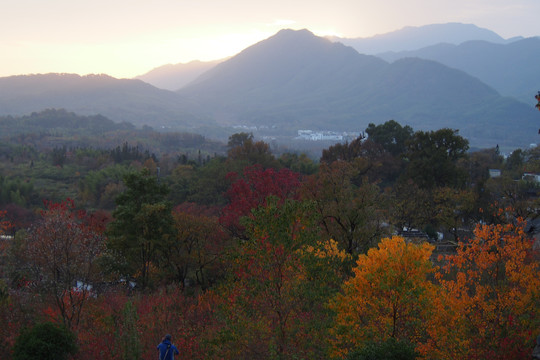 塔川秋色