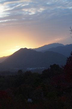 塔川秋色