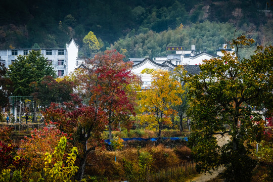 红叶罗田远山