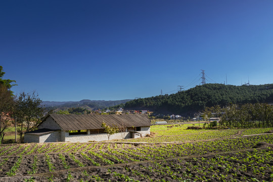 农村旧房