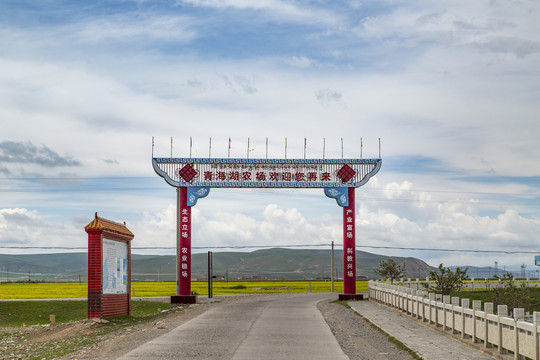 青海刚察青海湖农场