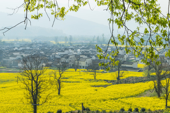 乡村风光