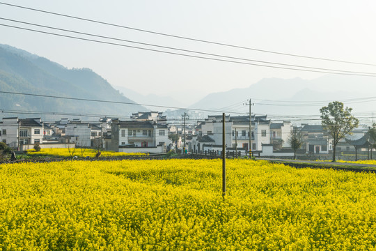 乡村风光