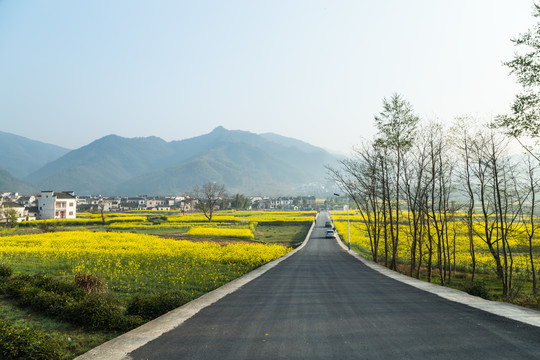 乡村风光