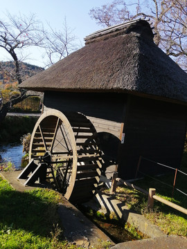 忍野八海景观