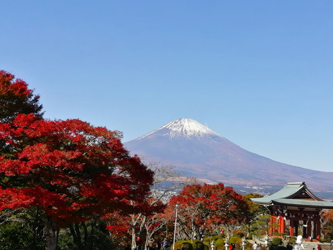 日本富士山