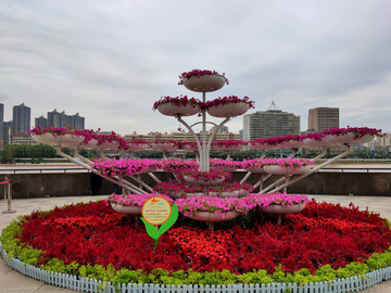 孔雀开屏造型花坛