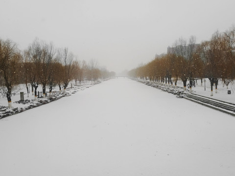 雪景