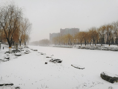 雪景