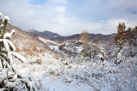 雪景