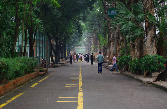 道路