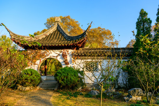 中式院墙院门秋景