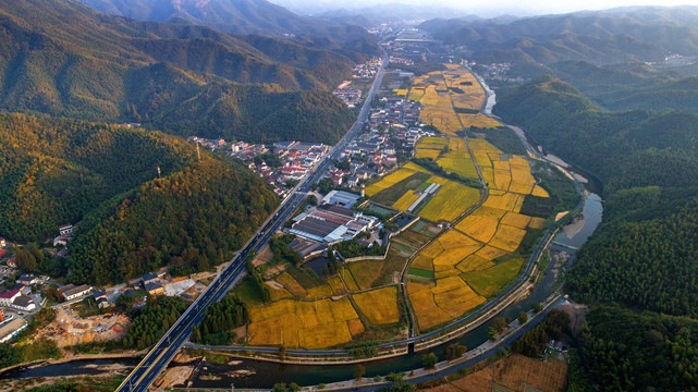 田野