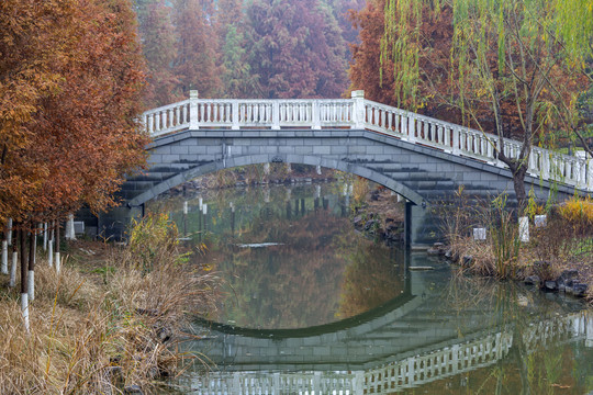 盐渎公园秋景