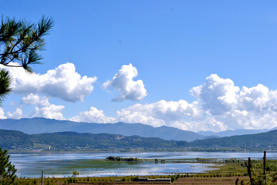 拉市海湿地