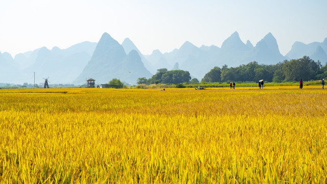 乡村旅游